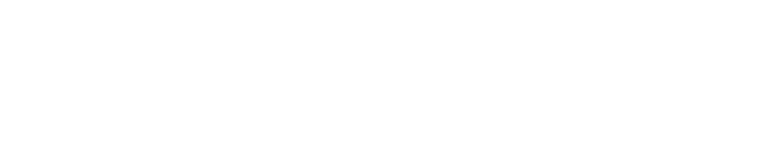 Logo Naturals